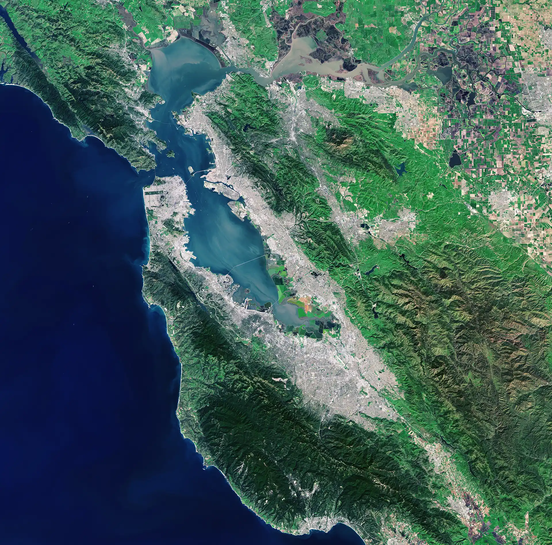 Bay Area Satellite View